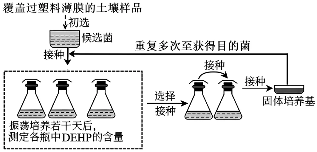 2026届广东省梅州市高三一模生物试卷 (3月) 第12张 2026届广东省梅州市高三一模生物试卷 (3月) 第12张