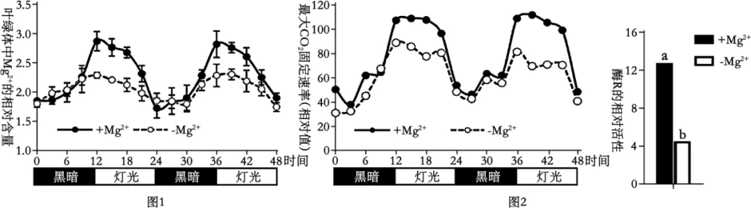 2026届广东省梅州市高三一模生物试卷 (3月) 第25张 2026届广东省梅州市高三一模生物试卷 (3月) 第25张