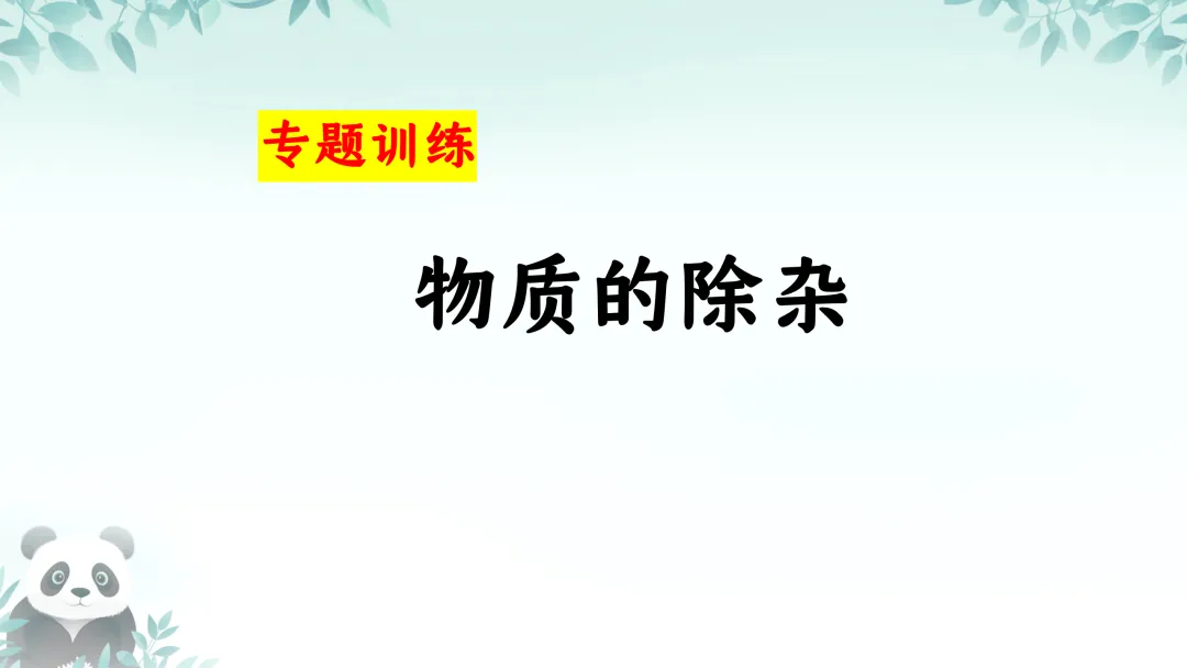 F712 2026决胜中考 《专题训练---物质的除杂》[Word可编辑] 第1张