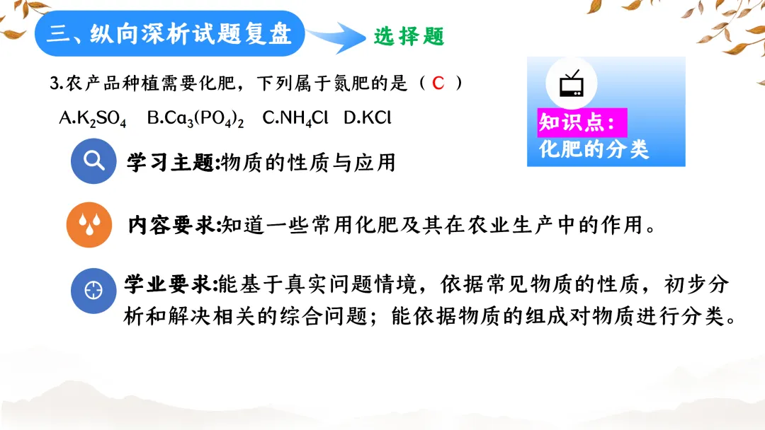 SK233 初中化学 中考备考讲座《深耕课标 聚焦素养:2025年中考化学命题趋势与复习备考策略解析》讲座课件PPT+ 文字稿Word 第19张