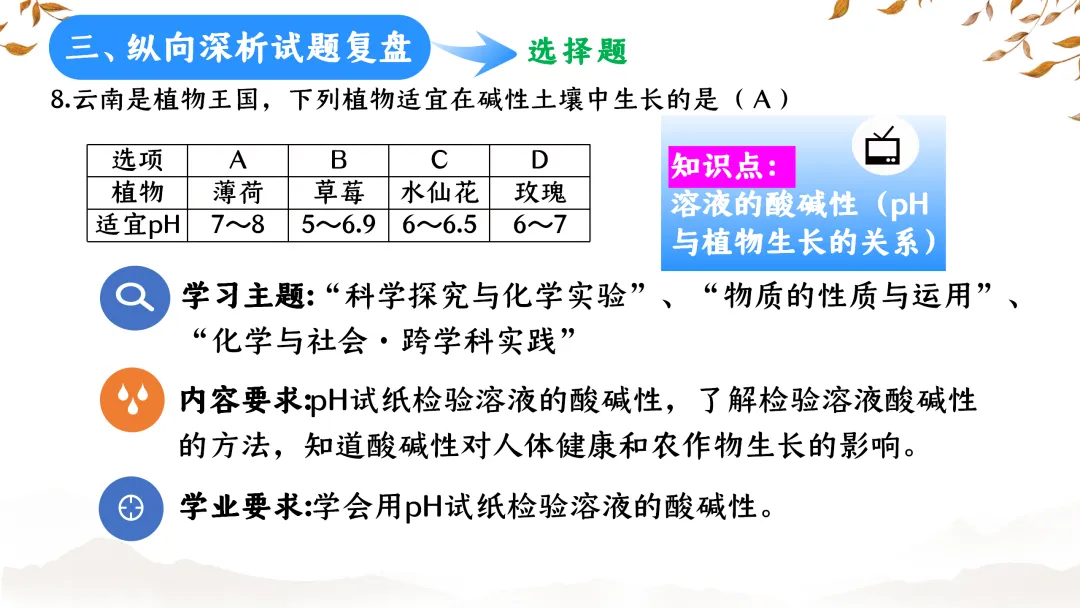SK233 初中化学 中考备考讲座《深耕课标 聚焦素养:2025年中考化学命题趋势与复习备考策略解析》讲座课件PPT+ 文字稿Word 第25张