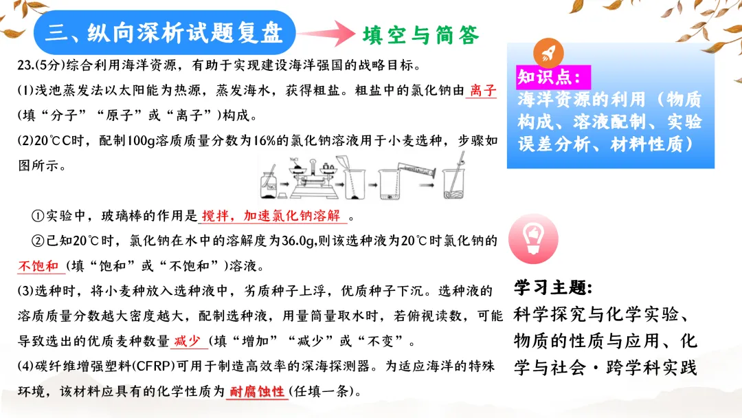 SK233 初中化学 中考备考讲座《深耕课标 聚焦素养:2025年中考化学命题趋势与复习备考策略解析》讲座课件PPT+ 文字稿Word 第59张