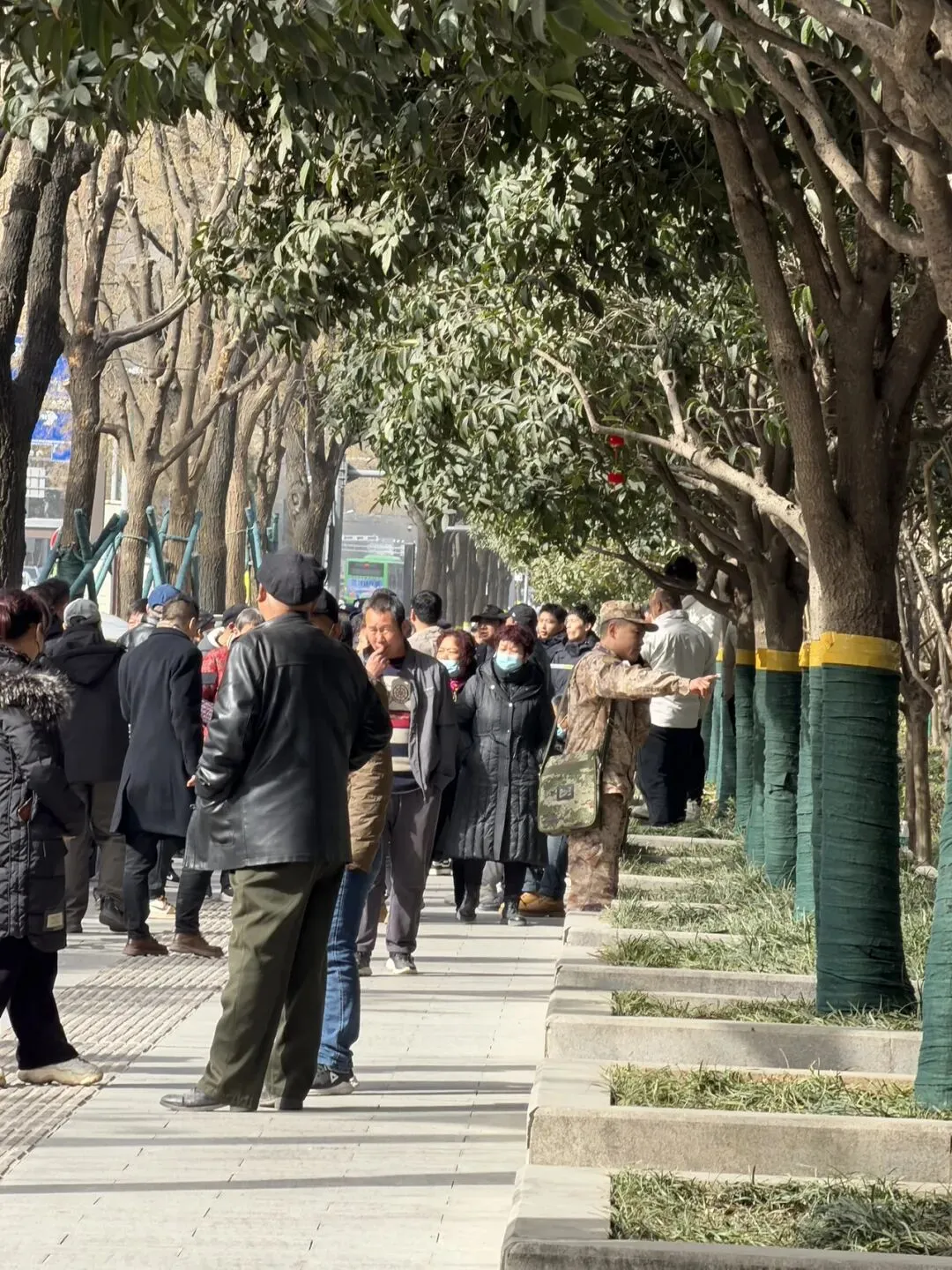 浅谈中考“五五分流” 第2张