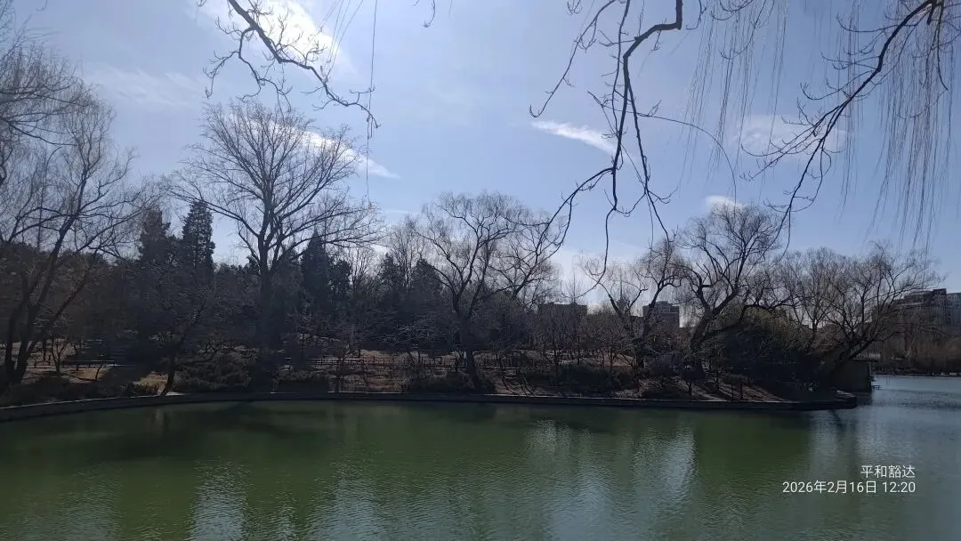 结婚不是改试卷,别指望对方婚后会订正错题 第3张