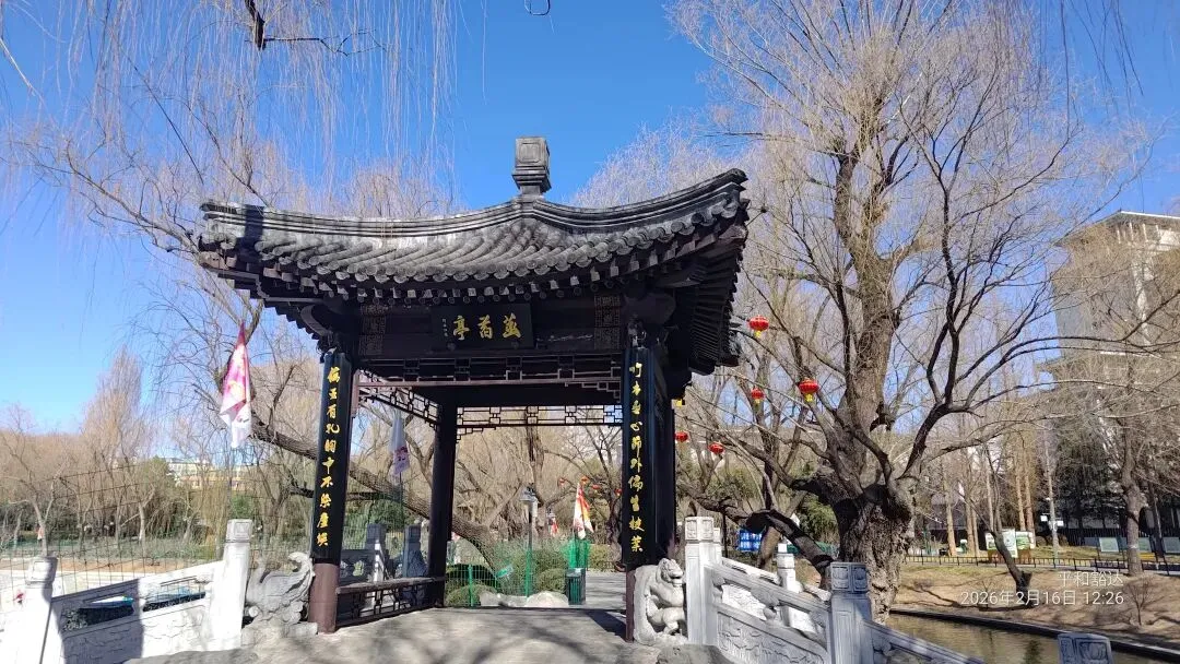 结婚不是改试卷,别指望对方婚后会订正错题 第4张