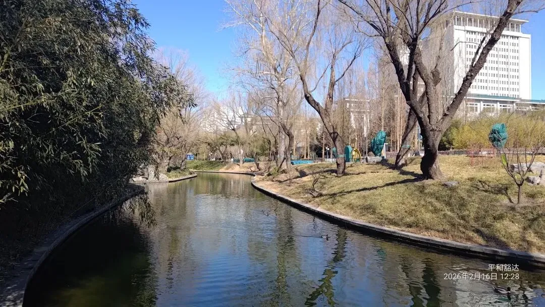 结婚不是改试卷,别指望对方婚后会订正错题 第5张