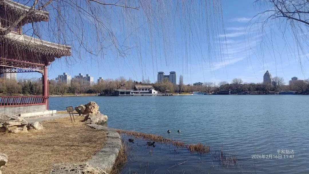 结婚不是改试卷,别指望对方婚后会订正错题 第6张