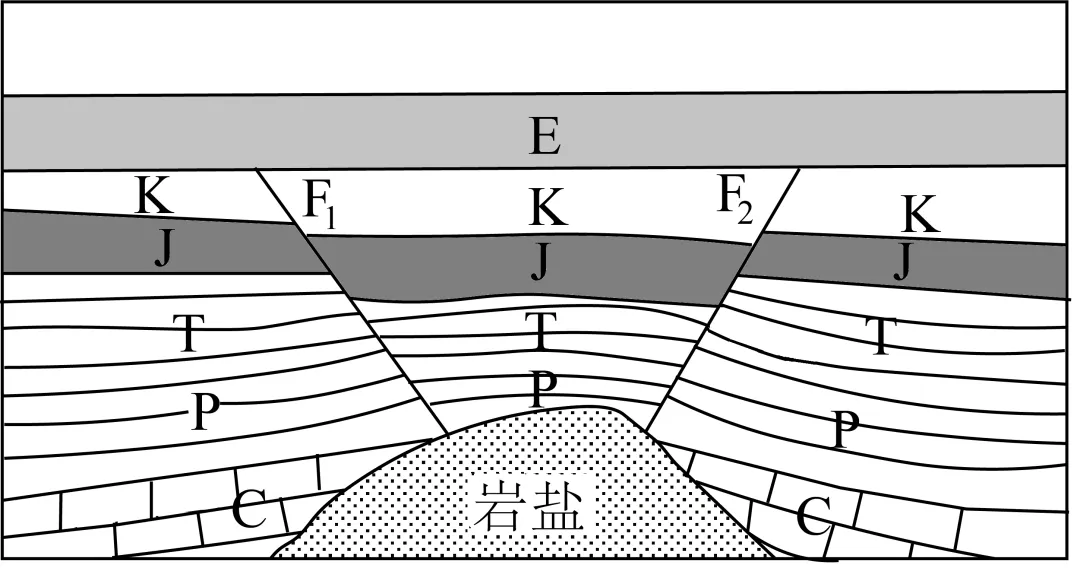 【考点真题汇编】20260322板块运动、构造运动及其地貌2025年高考分类汇编 第4张 【考点真题汇编】20260322板块运动、构造运动及其地貌2025年高考分类汇编 第4张