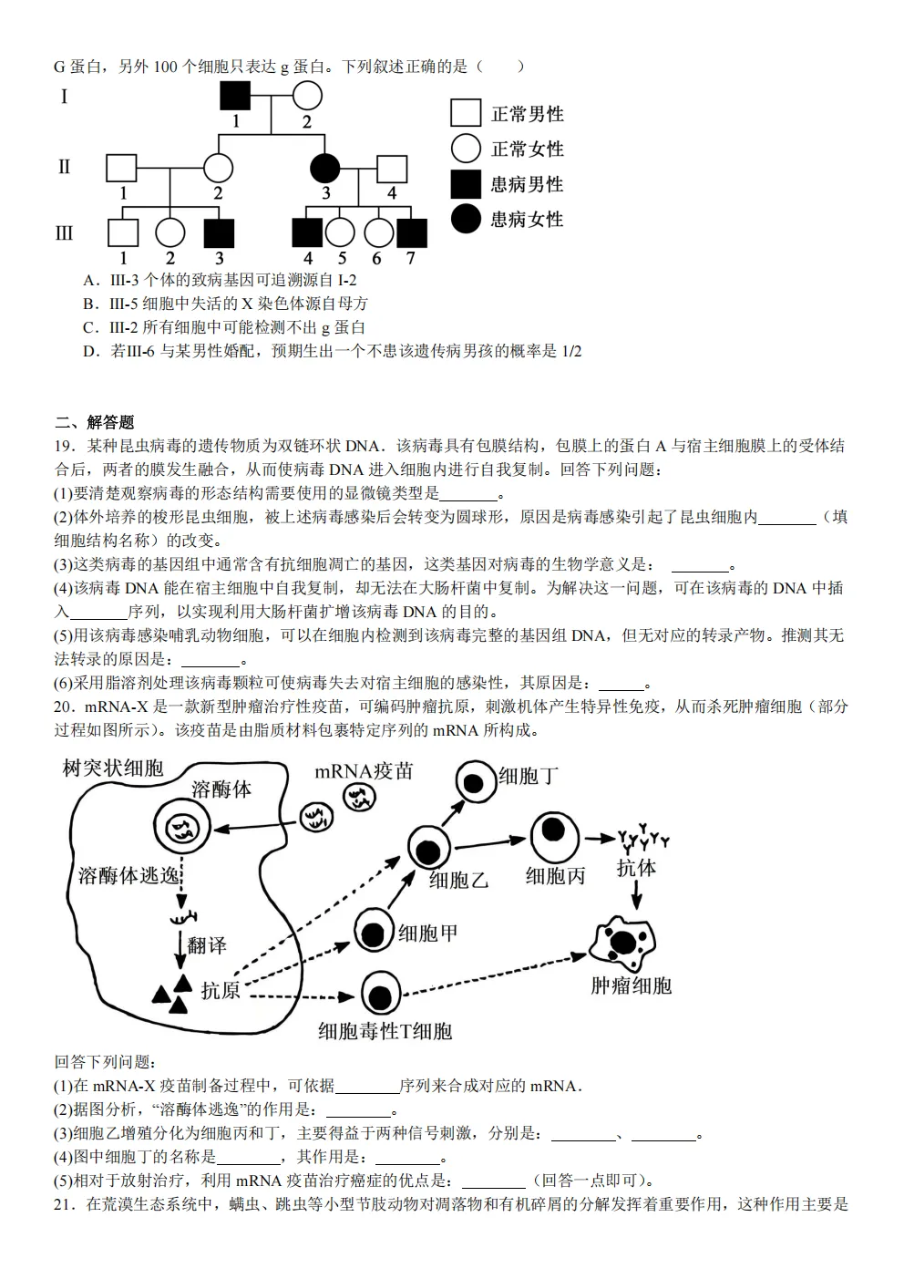 高考真题|2026年 湖北省卷生物高考真题|全国各省市高考|全国新高考试题及参考答案、全卷解析、评分标准、作文范文 PDF电子版可打印 第5张 高考真题|2026年 湖北省卷生物高考真题|全国各省市高考|全国新高考试题及参考答案、全卷解析、评分标准、作文范文 PDF电子版可打印 第5张