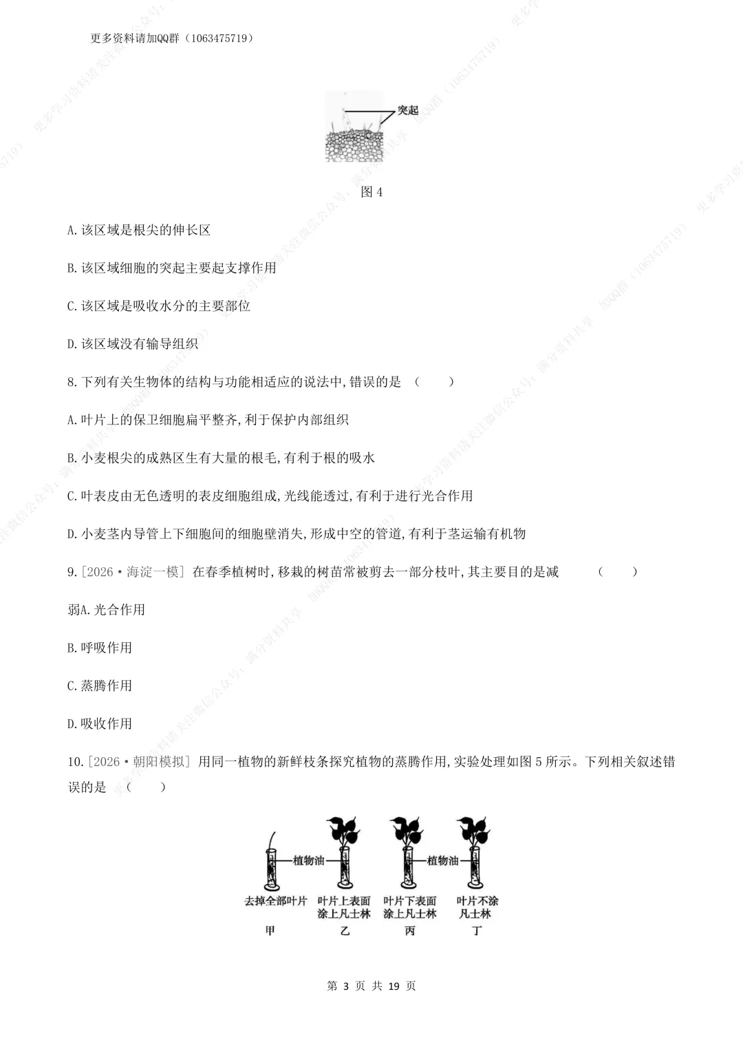 【初中生物】中考生物复习《植物体的生活》专题训练及答案,电子版可打印 第4张