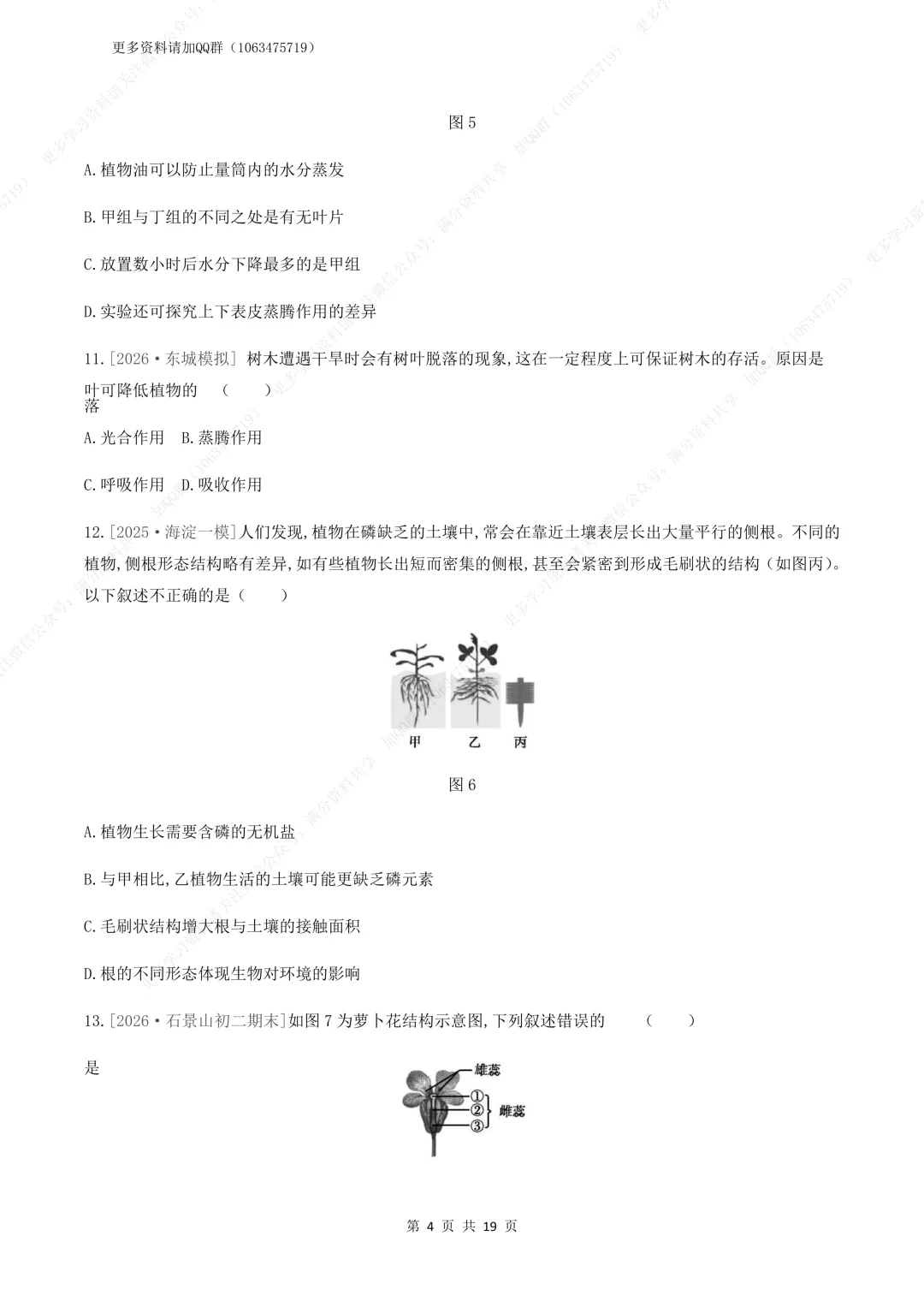 【初中生物】中考生物复习《植物体的生活》专题训练及答案,电子版可打印 第5张