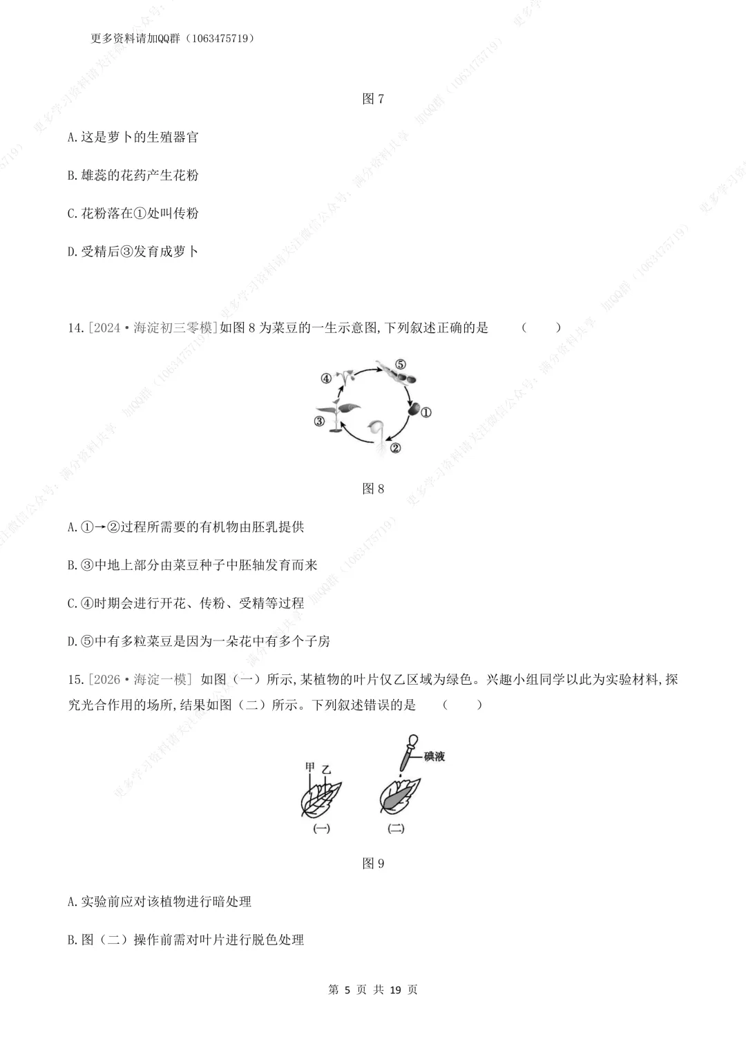 【初中生物】中考生物复习《植物体的生活》专题训练及答案,电子版可打印 第6张
