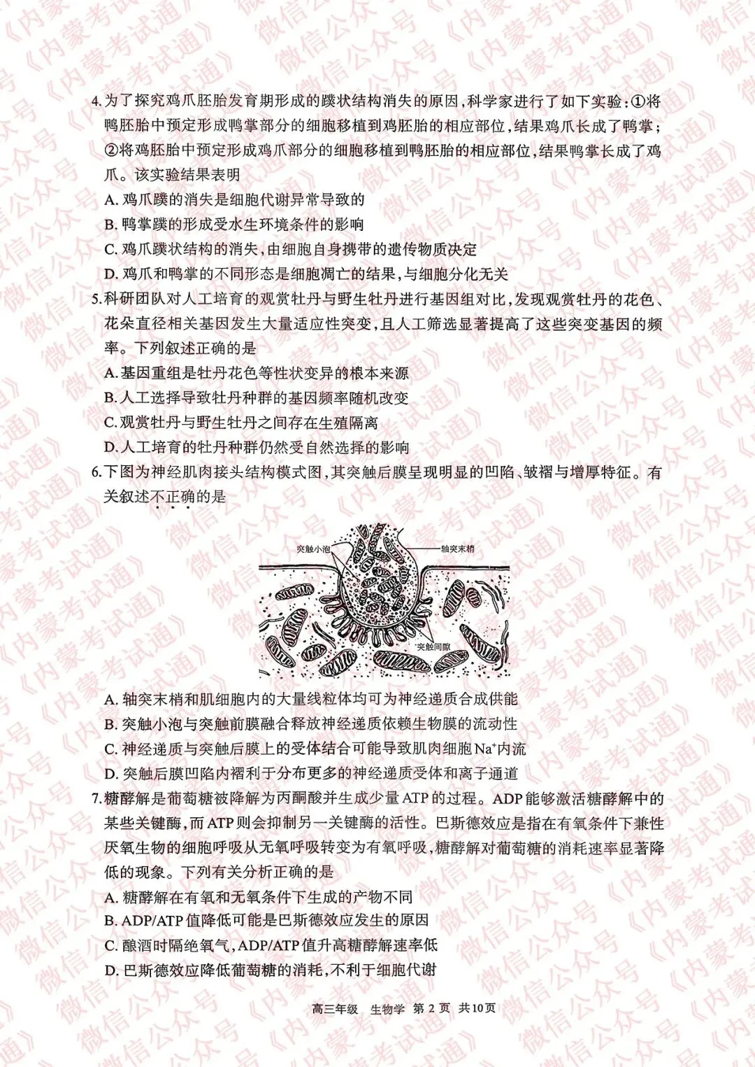 2026年内蒙古呼和浩特市高三一模试卷及答案【全套高清版】 第78张 2026年内蒙古呼和浩特市高三一模试卷及答案【全套高清版】 第78张