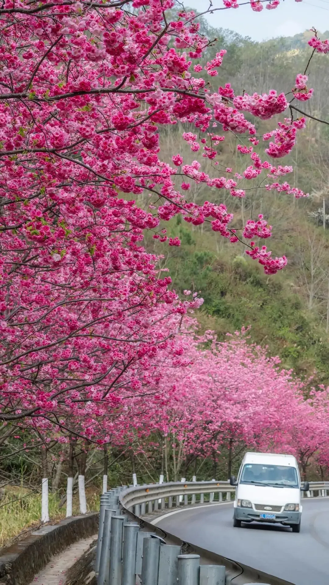 中考:一模,二模三模分别有什么作用? 第1张