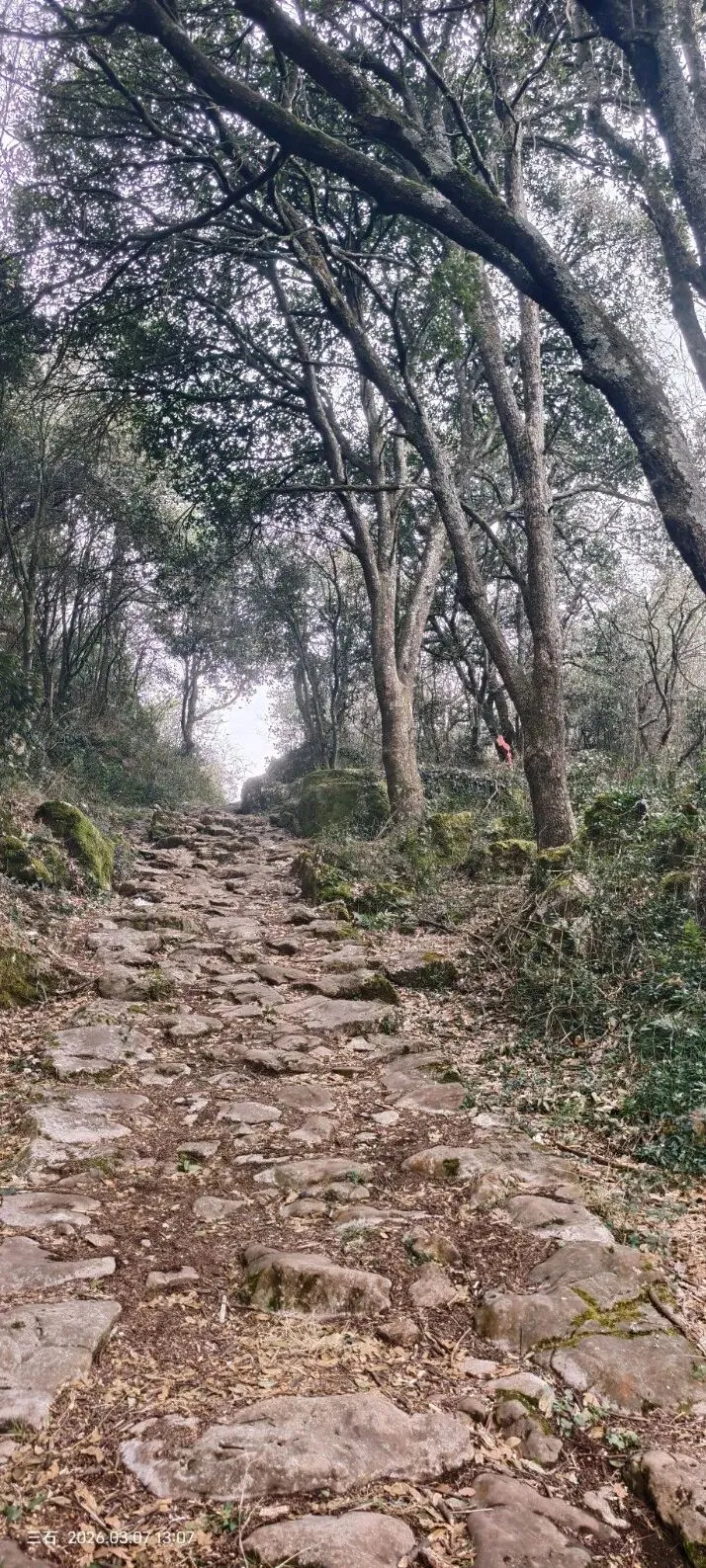 2026物理中考研讨——思路分析(第121期) 第3张 2026物理中考研讨——思路分析(第121期) 第3张