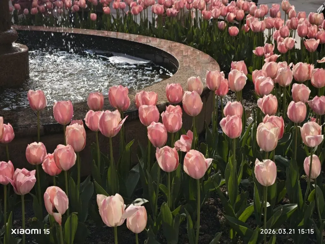 这套猎奇的试卷,竟充斥着套路题? 第19张