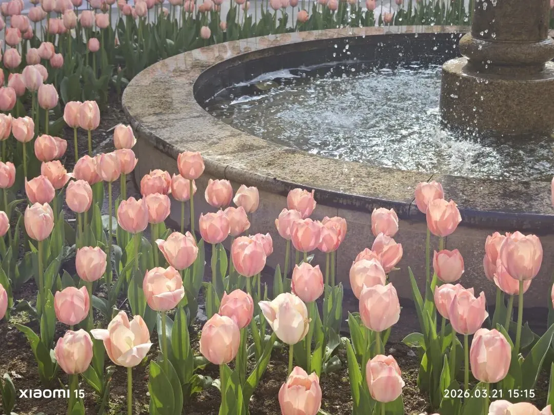 这套猎奇的试卷,竟充斥着套路题? 第20张