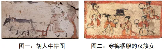 2026年中考历史热点专练25B:新修订《民族团结促进法》 第2张