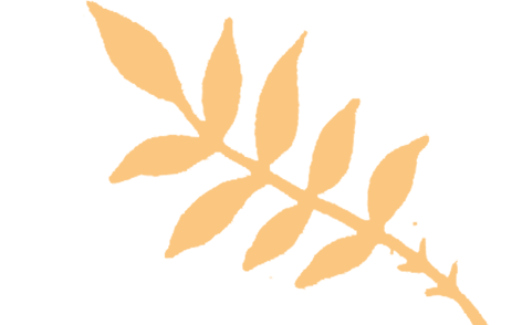 百日磨剑战中考,少年逐梦正当时——怀集县冷坑镇中心初级中学2026届百日誓师大会圆满举行 第4张