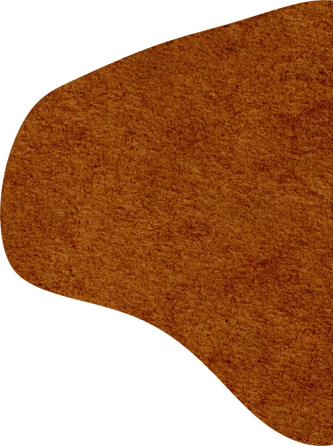 2026届湖北黄石市高三模考【英语】试卷及答案 第1张