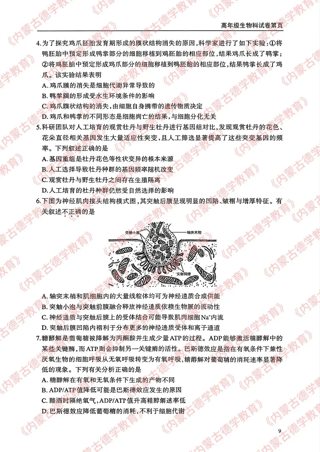 2026年呼市高三一模生物试卷及答案 第2张