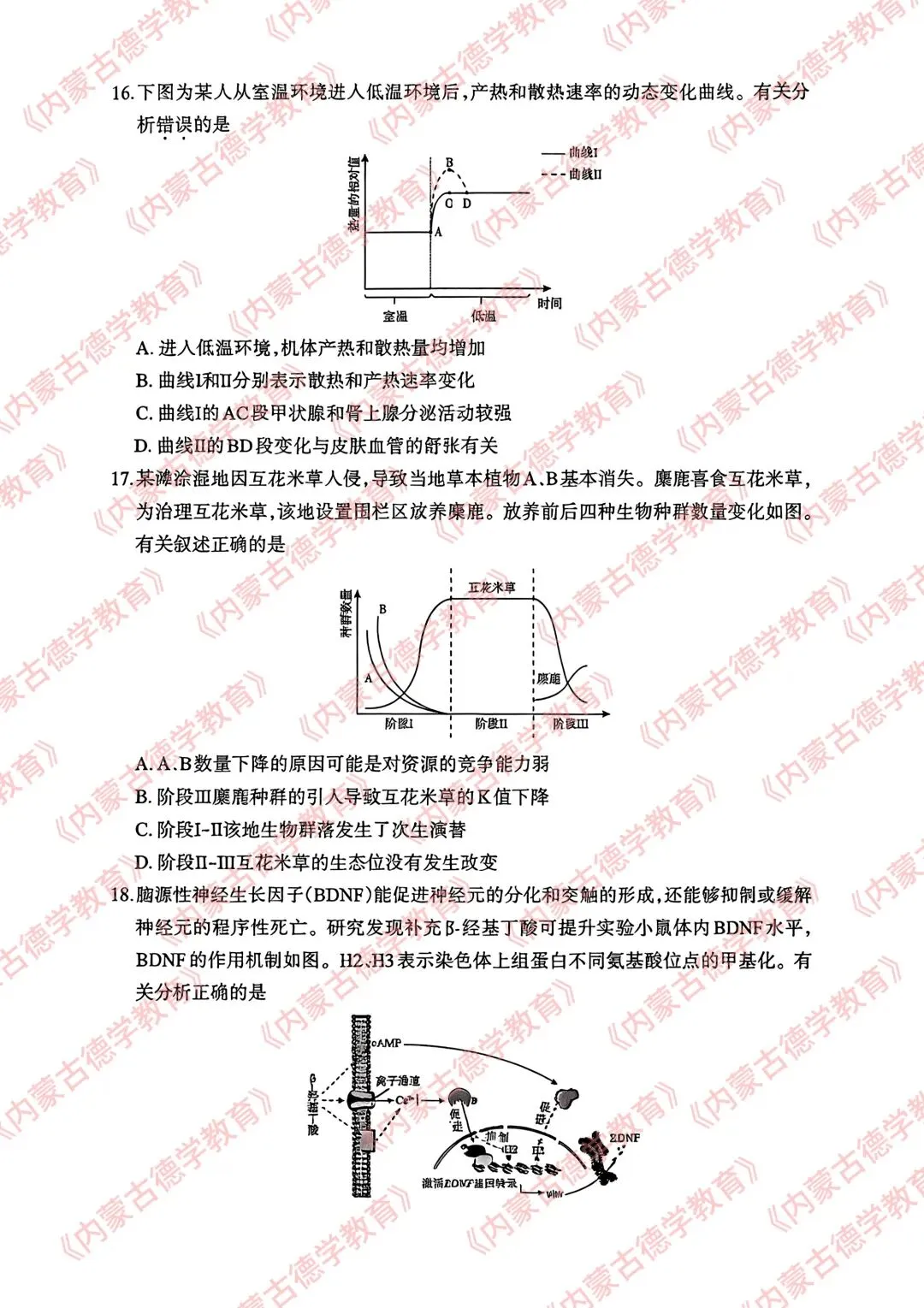 2026年呼市高三一模生物试卷及答案 第5张