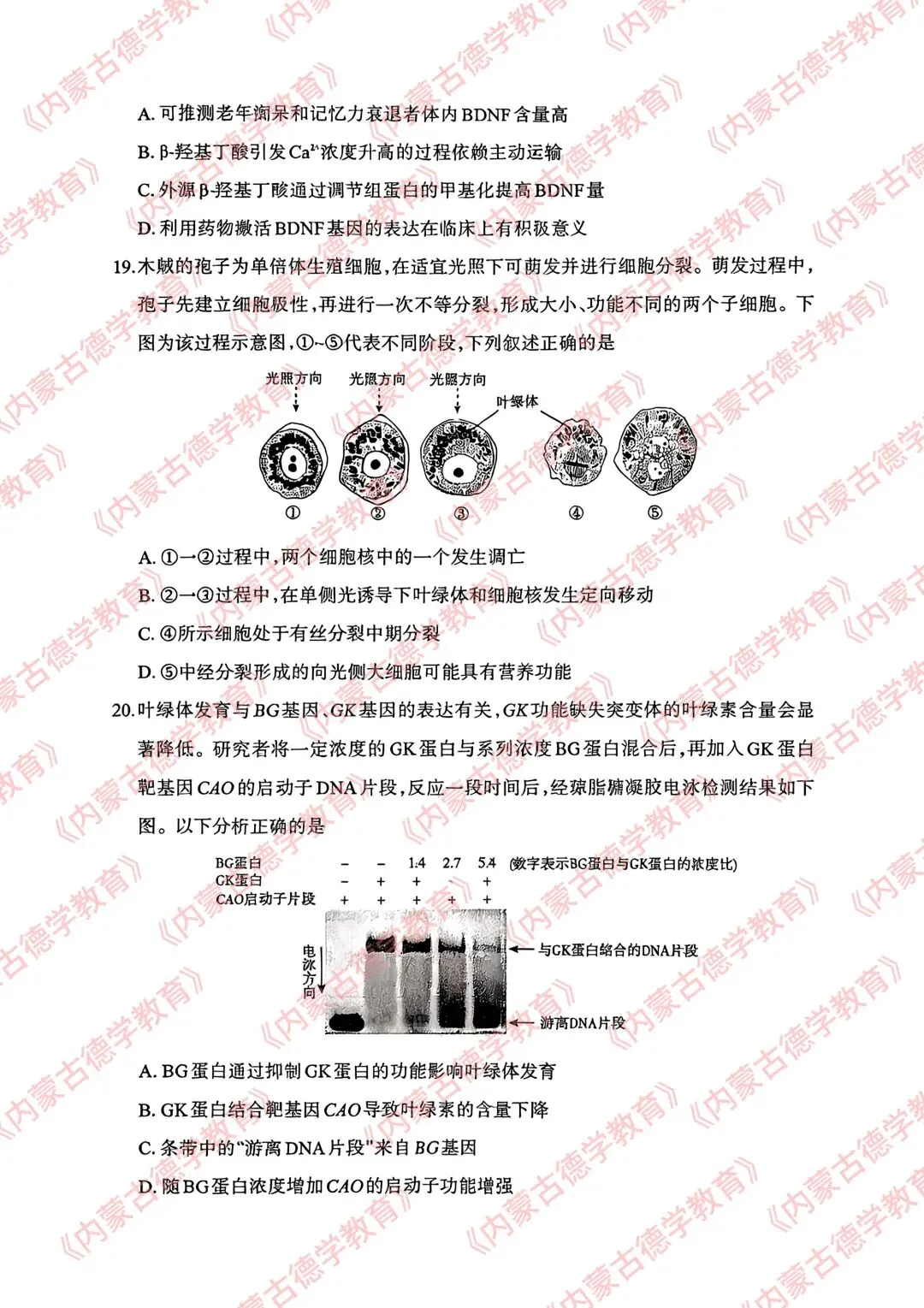2026年呼市高三一模生物试卷及答案 第6张