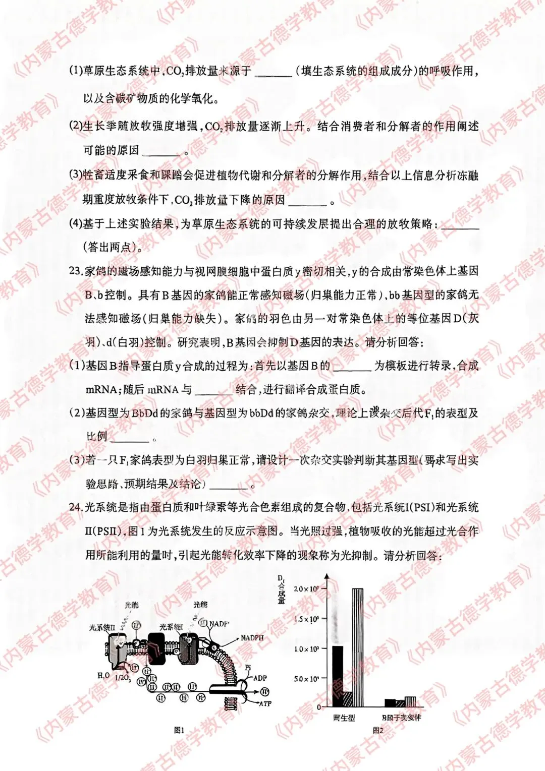 2026年呼市高三一模生物试卷及答案 第8张