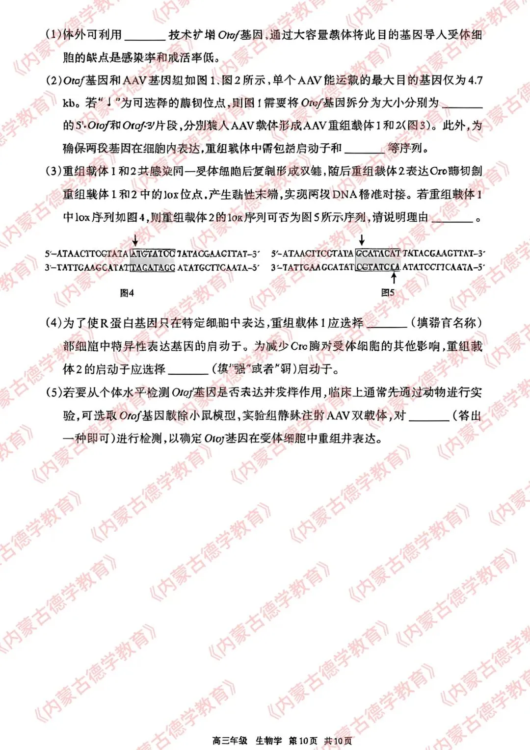 2026年呼市高三一模生物试卷及答案 第10张