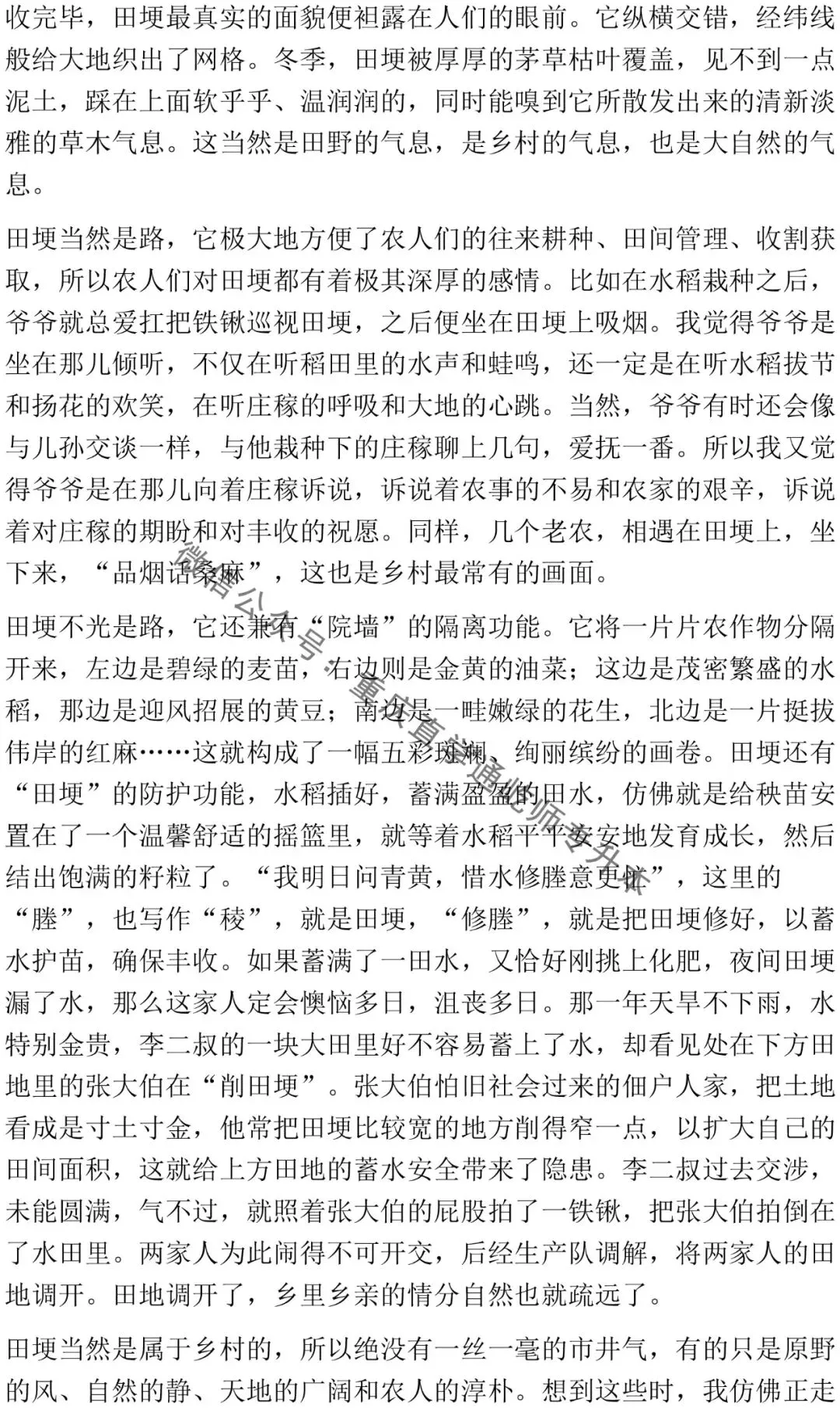 2026重庆专升本大学语文真题 第7张