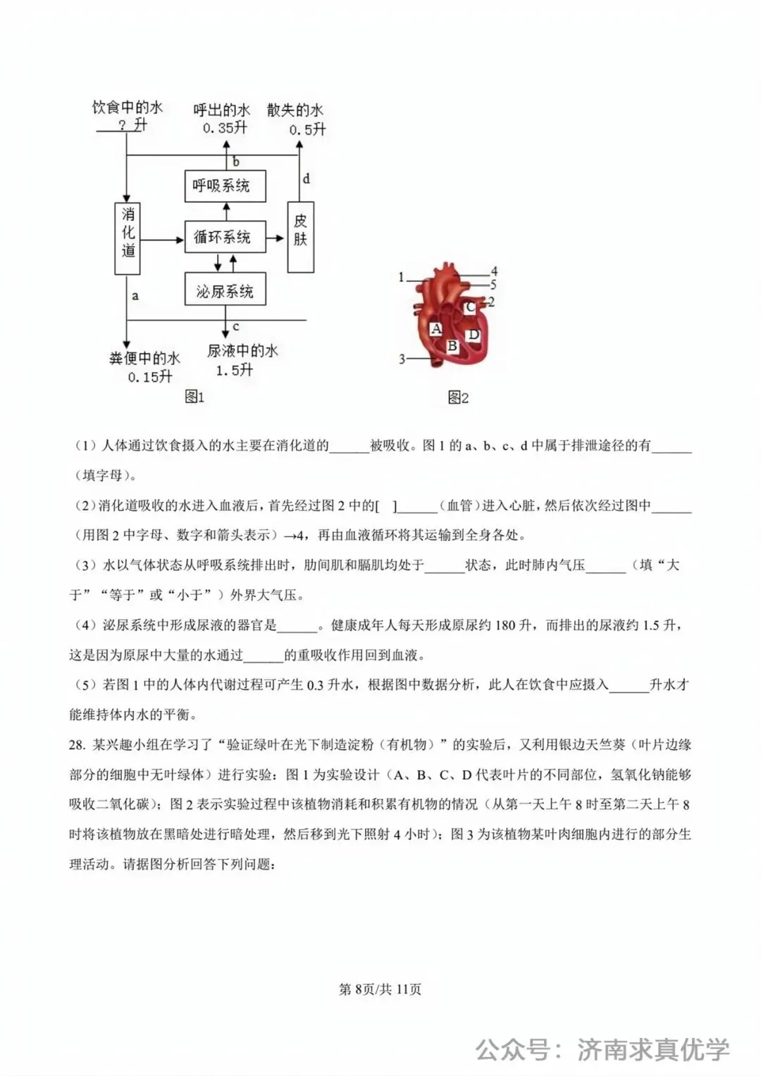 【真题】济南市2025年初中学业水平考试生物试题 第8张