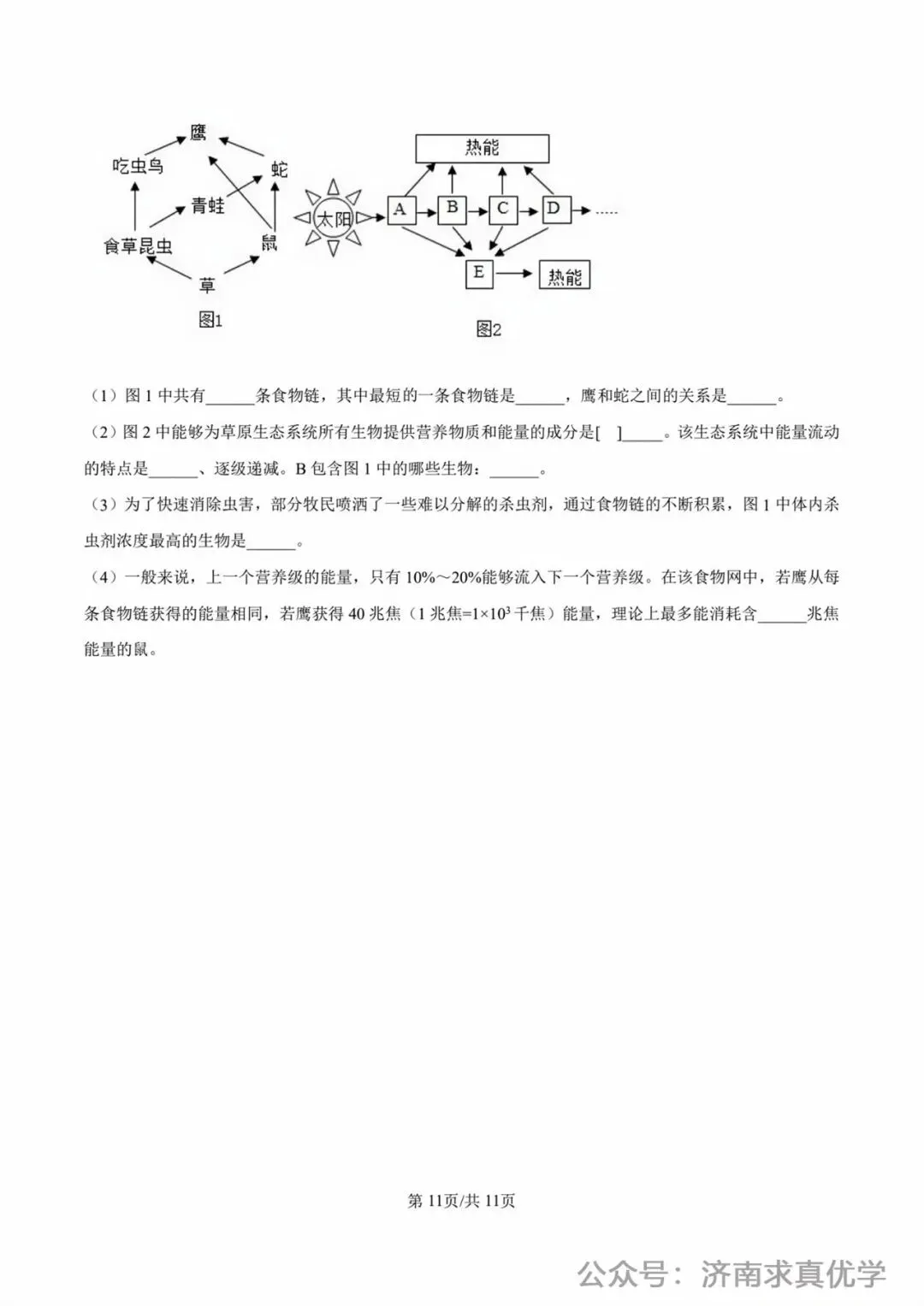 【真题】济南市2025年初中学业水平考试生物试题 第11张