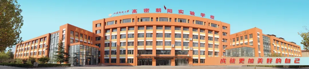 逐梦向未来,砺剑战中考——山师高密朝阳实验学校开展中考动员大会 第37张