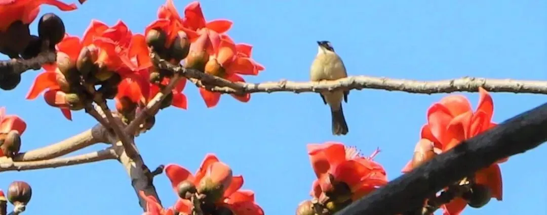 报名在即,速看!漳州开发区中考报名通知发布 第4张