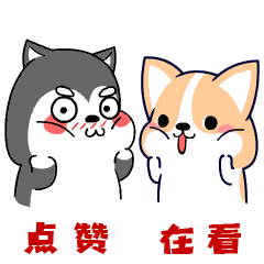 报名在即,速看!漳州开发区中考报名通知发布 第7张