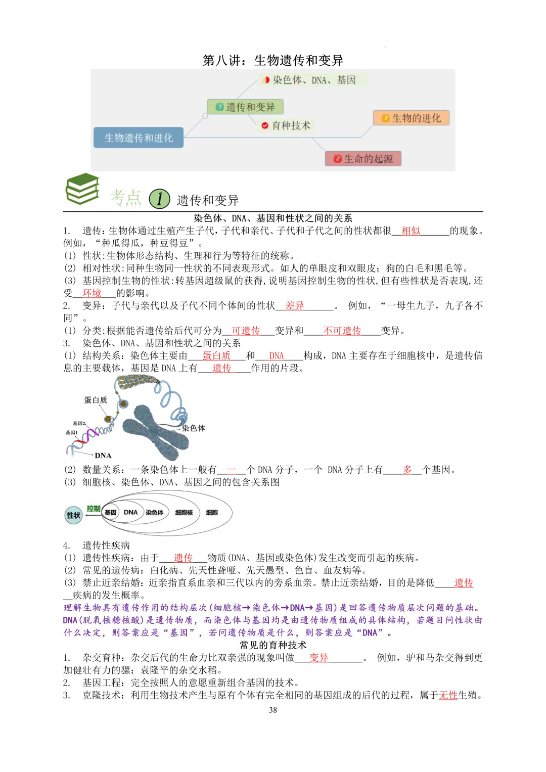 2026中考科学---生物知识点第八讲 第1张
