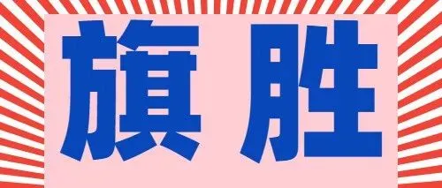 2026年诚成题库 中考适应性训练卷 语文 第1张