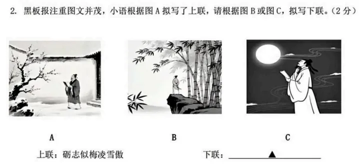 浙江省绍兴市六校联盟学校中考适应性考试语文试卷 第3张