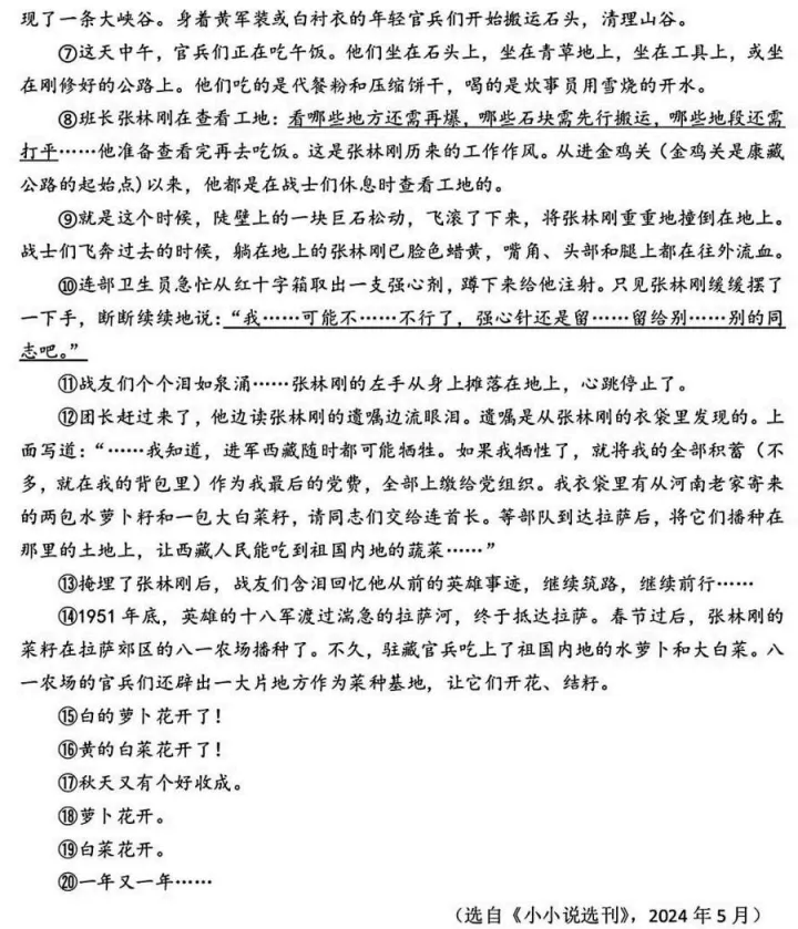 浙江省绍兴市六校联盟学校中考适应性考试语文试卷 第6张