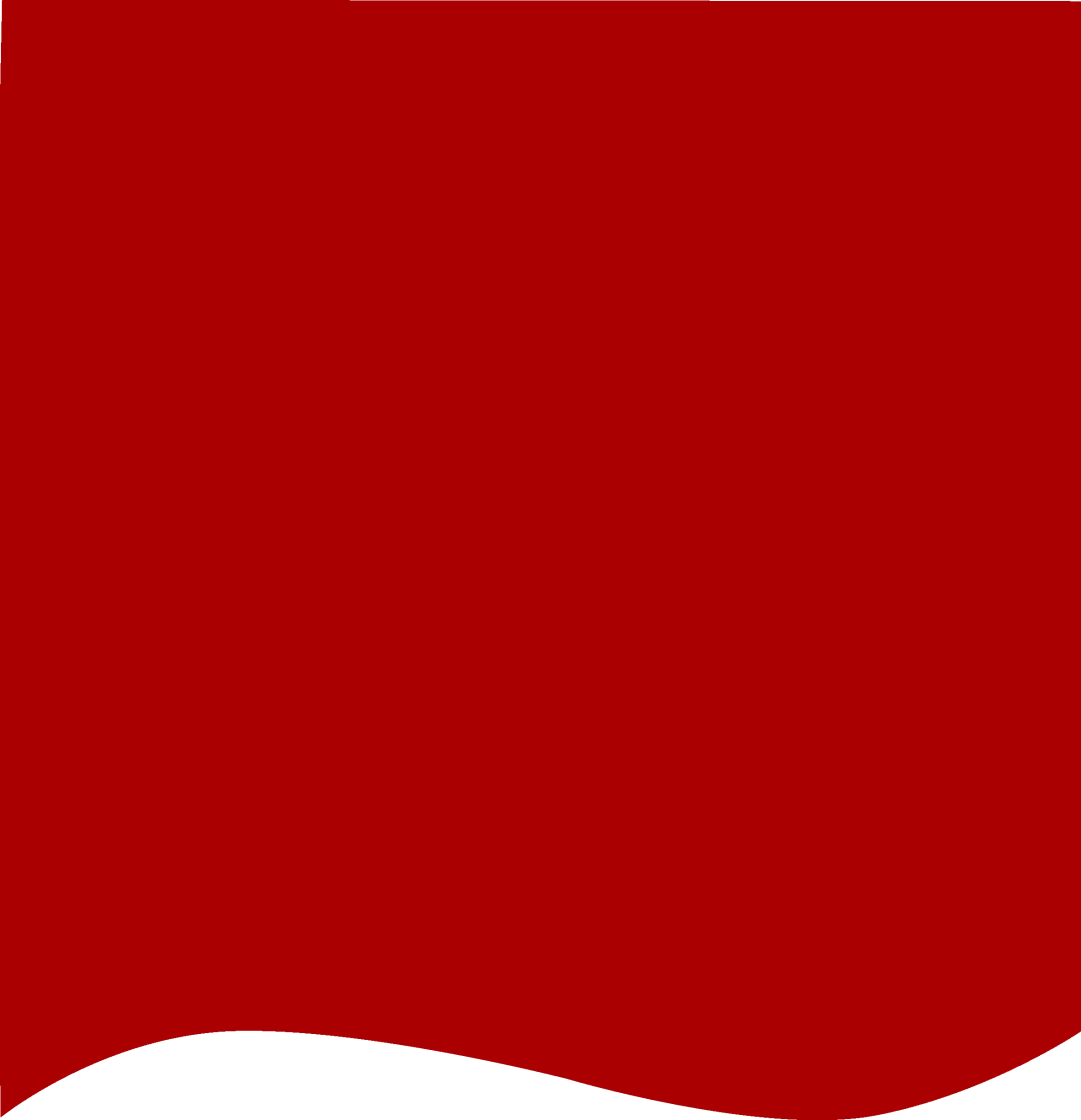 逐马扬鞭凌云志,青春逐梦赴中考 第1张