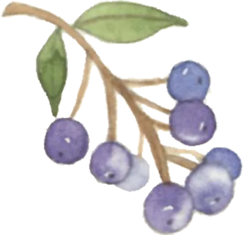 真题速递I第九届全国大学生数学竞赛决赛试题及参考解答 第7张