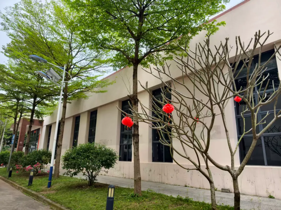 中考后择校不迷茫!广西工贸职业技术学校2026招生来了,公办名校让孩子未来可期! 第4张 中考后择校不迷茫!广西工贸职业技术学校2026招生来了,公办名校让孩子未来可期! 第4张