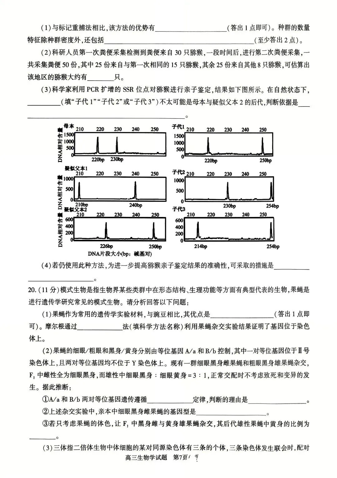 2026年河南省高三五市一模生物学真题及答案解析 第5张
