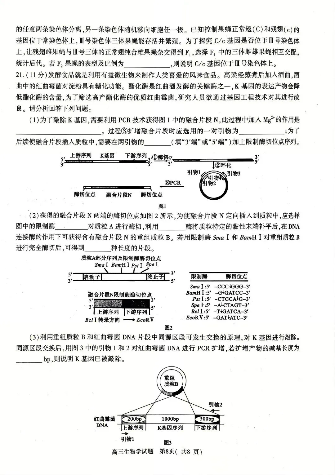 2026年河南省高三五市一模生物学真题及答案解析 第6张