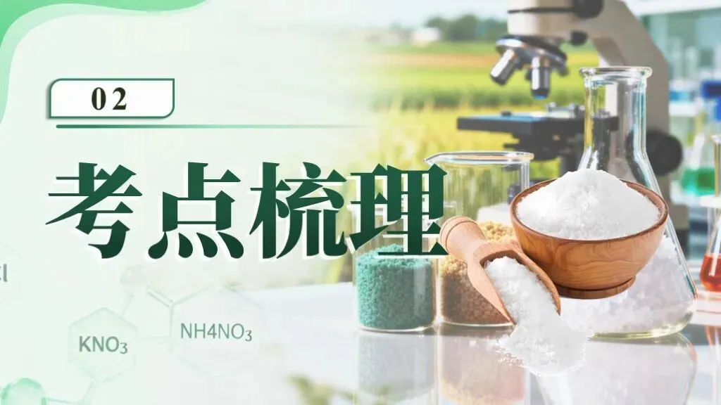 中考化学一轮复习专题八《盐和化肥》 第15张