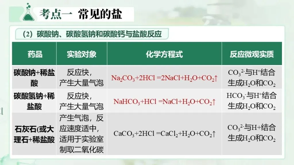 中考化学一轮复习专题八《盐和化肥》 第19张