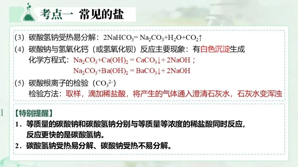 中考化学一轮复习专题八《盐和化肥》 第20张