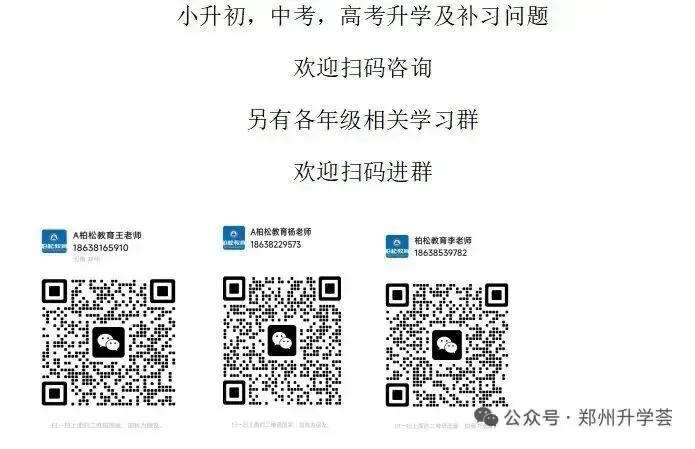 2025年洛阳中考一模全科试卷及答案 第15张