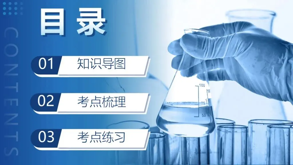 中考化学一轮复习专题十《元素》 第11张