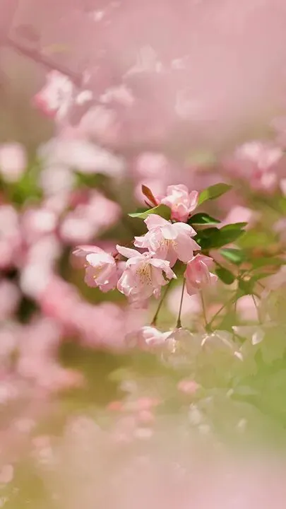 乘势而上百日笃行 决战六月圆梦中考——万龙中学2026年中考百日誓师大会圆满举行 第32张